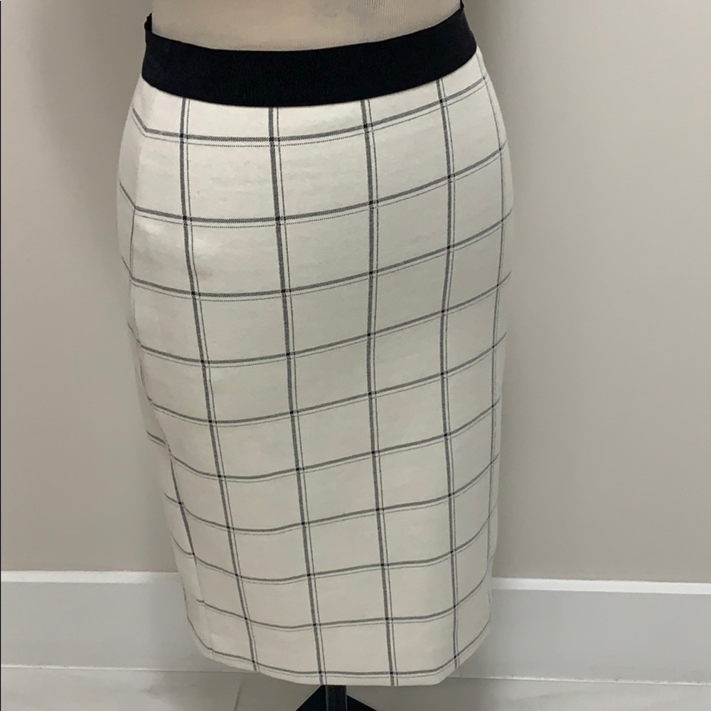 Ann Taylor Pencil Skirt